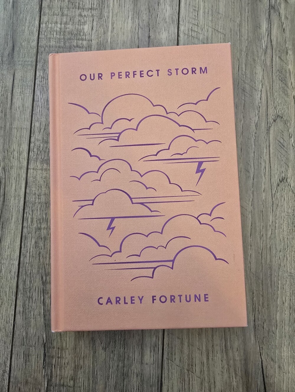 Our Perfect Storm By Carley Fortune